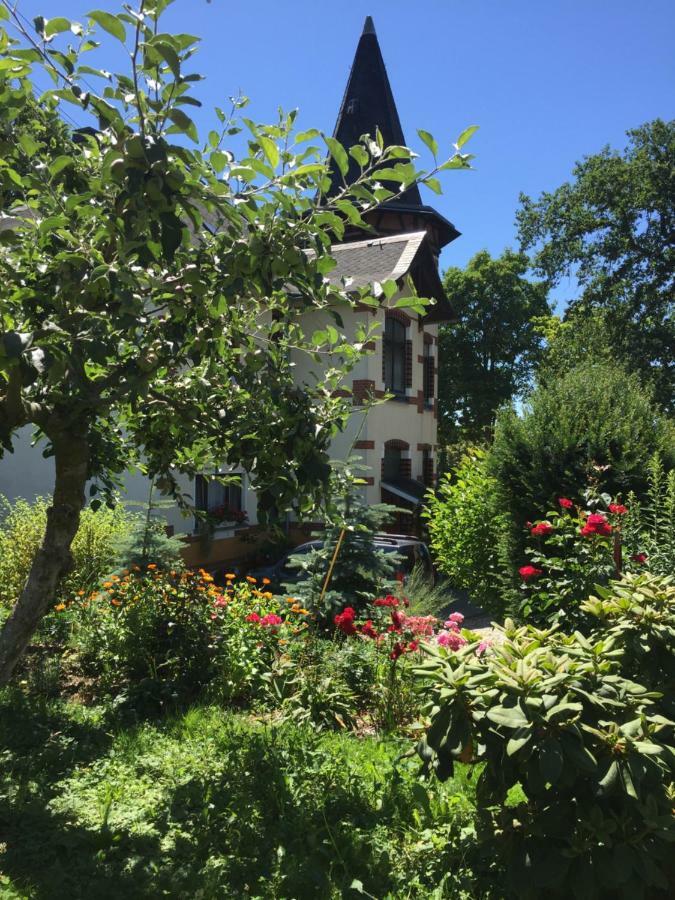 Turmvilla Vogtland Oelsnitz  Bagian luar foto