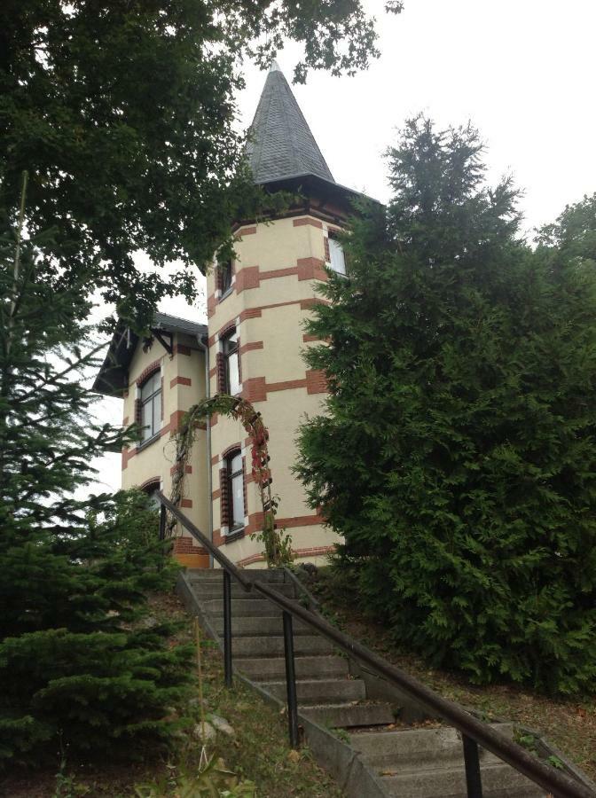 Turmvilla Vogtland Oelsnitz  Bagian luar foto